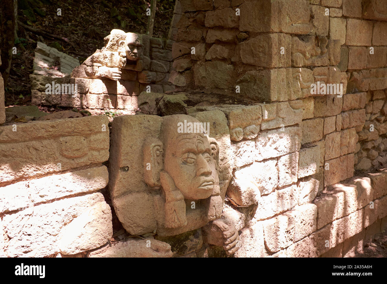 La scala geroglifica in Copan rovine, Copan, Honduras Foto Stock