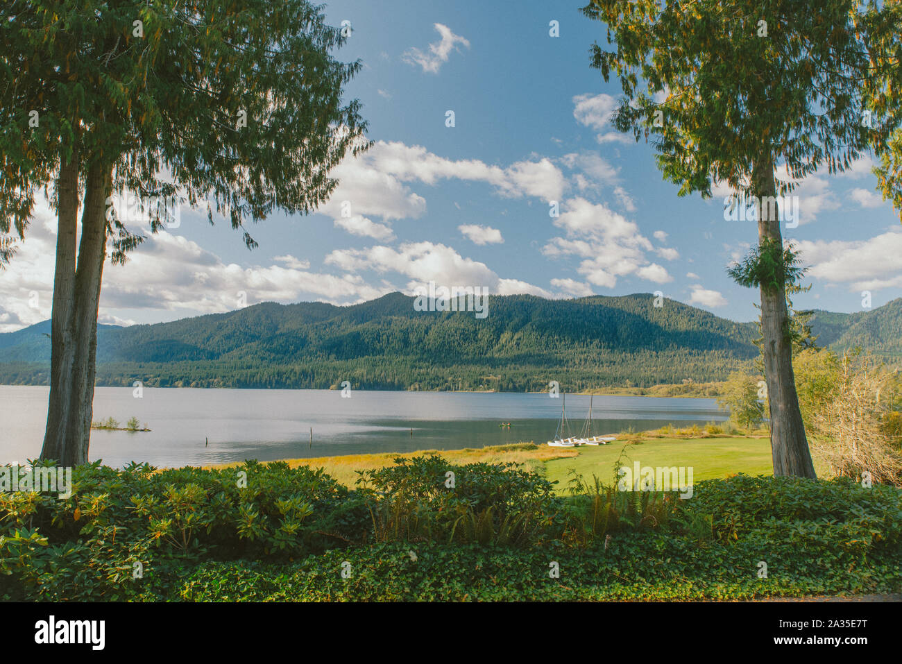 Quinault, Washington Foto Stock