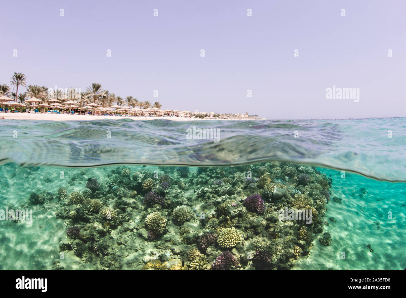 Split shot, Makadi Bay, Egitto Foto Stock