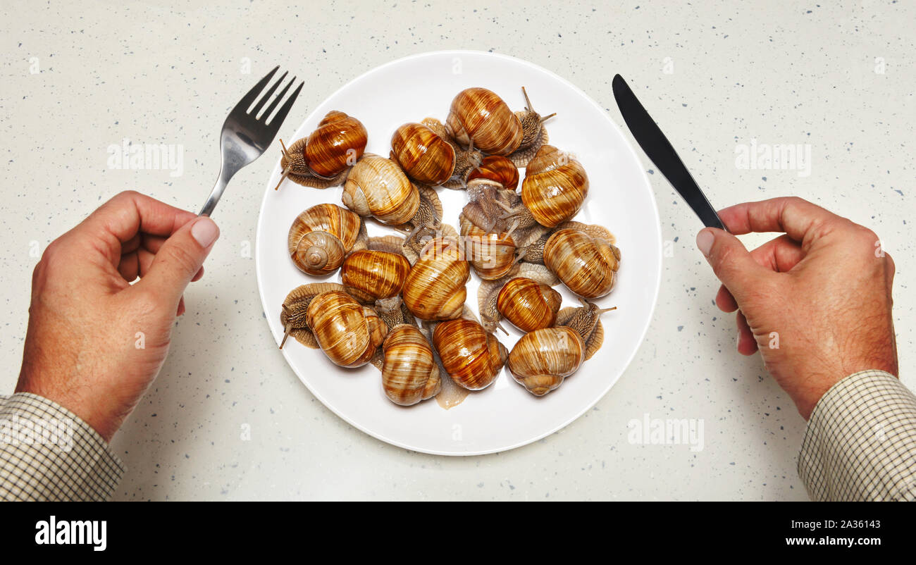 Frutti di mare sulla piastra bianca per la cottura e le mani dello chef Foto Stock