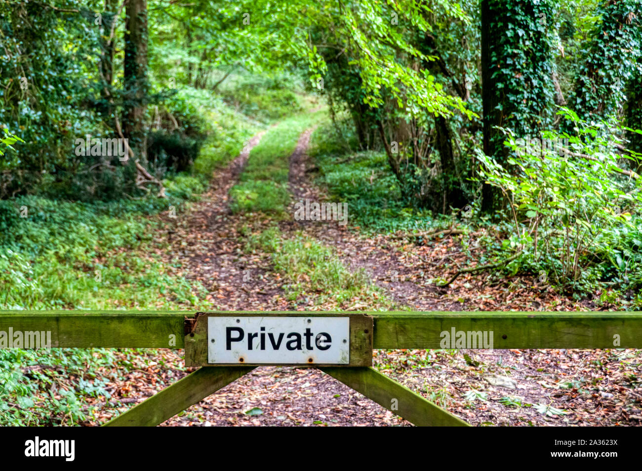 Segno privato su una porta nella parte anteriore di un percorso attraverso il bosco in West Sussex. Foto Stock