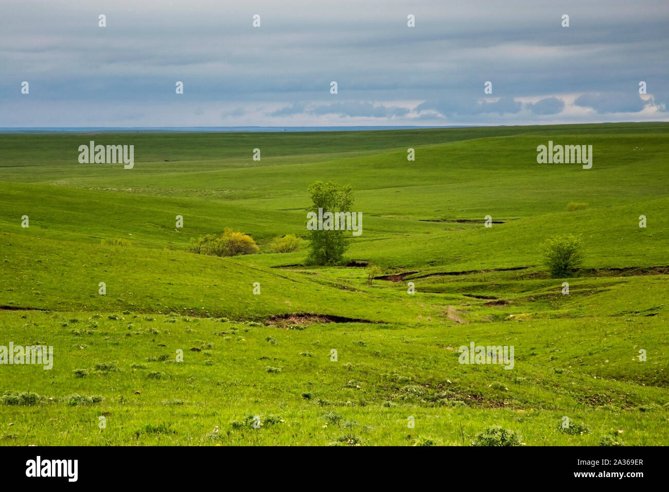 Vaste praterie in selce colline del Kansas Foto Stock