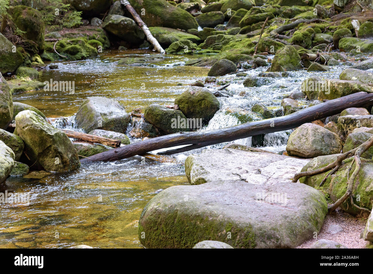 Vista del fiume Szklarka in una foresta in Monti dei Giganti, Polonia Foto Stock