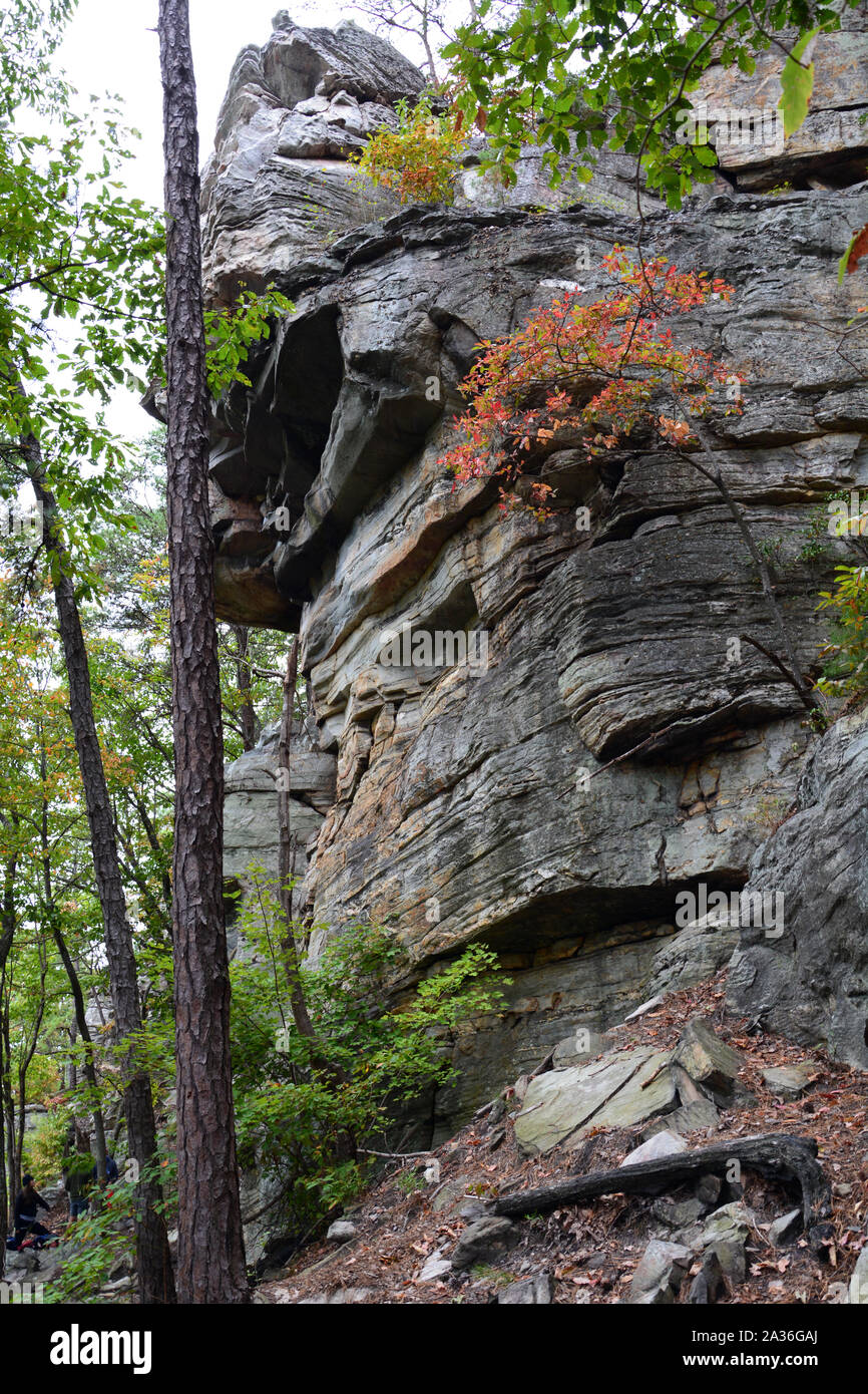 Una formazione di roccia nel bosco in montagna pilota parco dello stato del Nord Carolina. Foto Stock