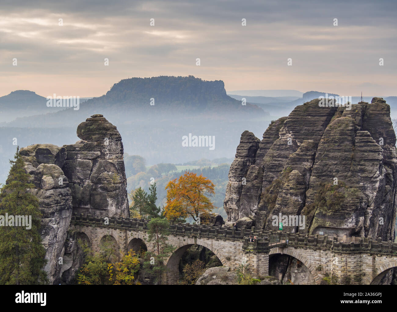 Presso il Bastei nelle montagne di roccia arenaria dell'Elba Foto Stock