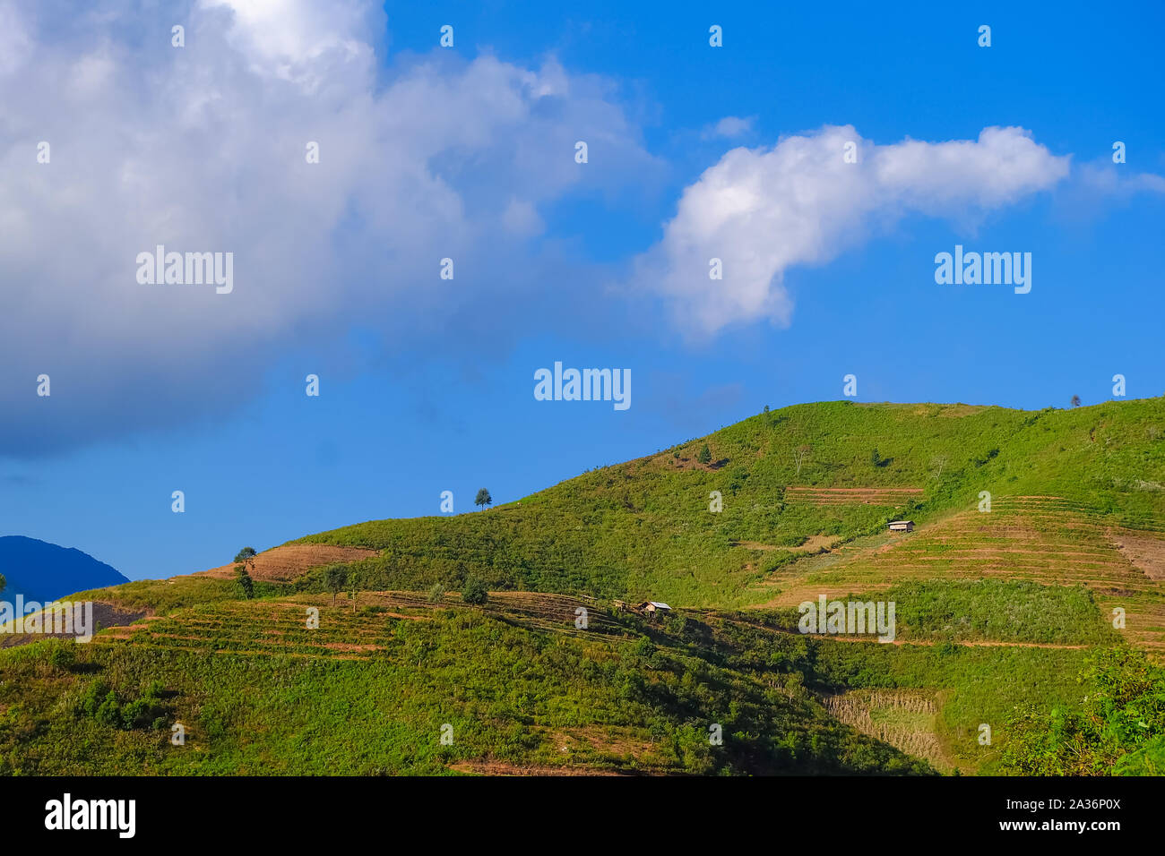 Lo splendido paesaggio di montagna con il cloud e cielo blu in Ta Xua, a nord-ovest del Vietnam. Royalty di alta qualità immagine stock di paesaggio, montagna. Foto Stock
