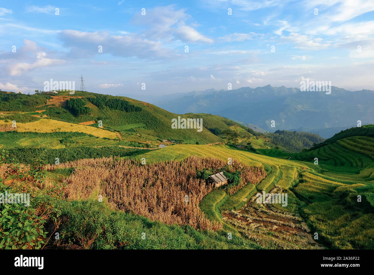 Lo splendido paesaggio di campi di riso a terrazze Ta Xua montagna. Royalty di alta qualità immagine stock del campo di riso. I campi di riso preparare il raccolto. Foto Stock