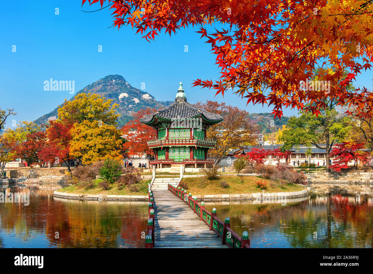 Il Palazzo Gyeongbokgung in autunno,Seul in Corea del Sud. Foto Stock Il Palazzo Gyeongbokgung in autunno,Seul in Corea del Sud. Foto Stock