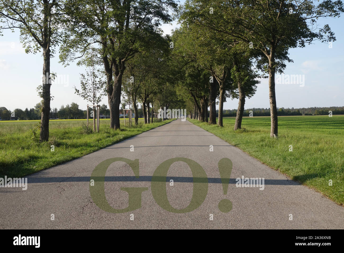 GO GREEN! Foto Stock