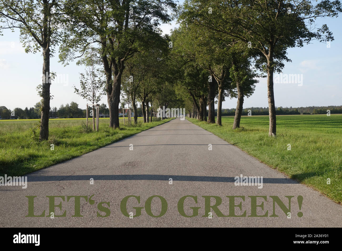 GO GREEN! Foto Stock