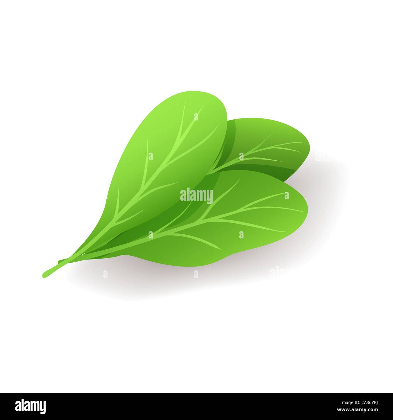 Mazzetto di fresco verde foglie di spinaci icona isolati su sfondo bianco, sano cibo organico, illustrazione vettoriale. Illustrazione Vettoriale