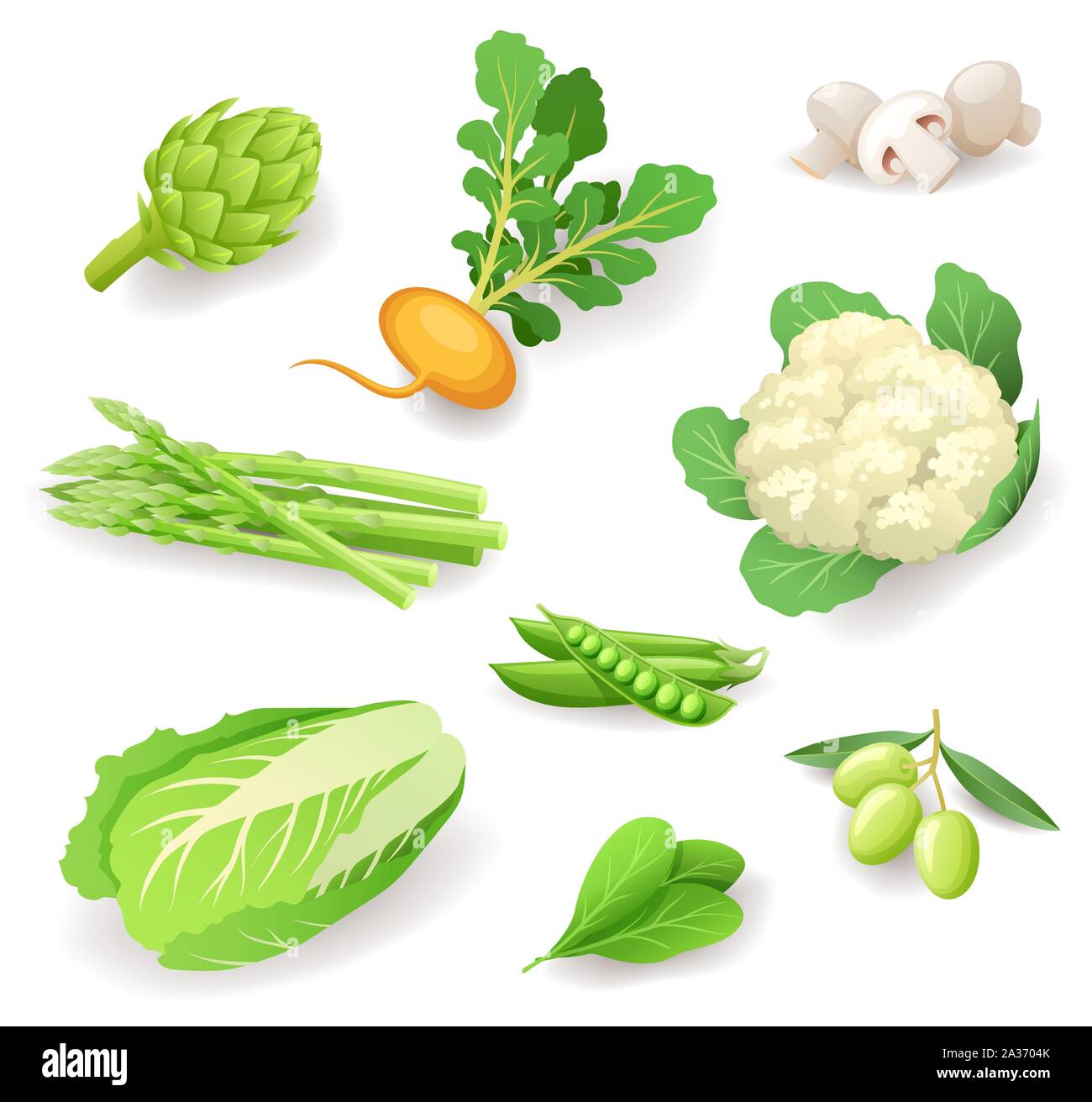 Fresche verdure organiche icon set isolato, cibo sano, Carciofo, rapa, funghi, asparagi, cavolfiore, piselli, olive, cavolo cinese, spinaci Illustrazione Vettoriale