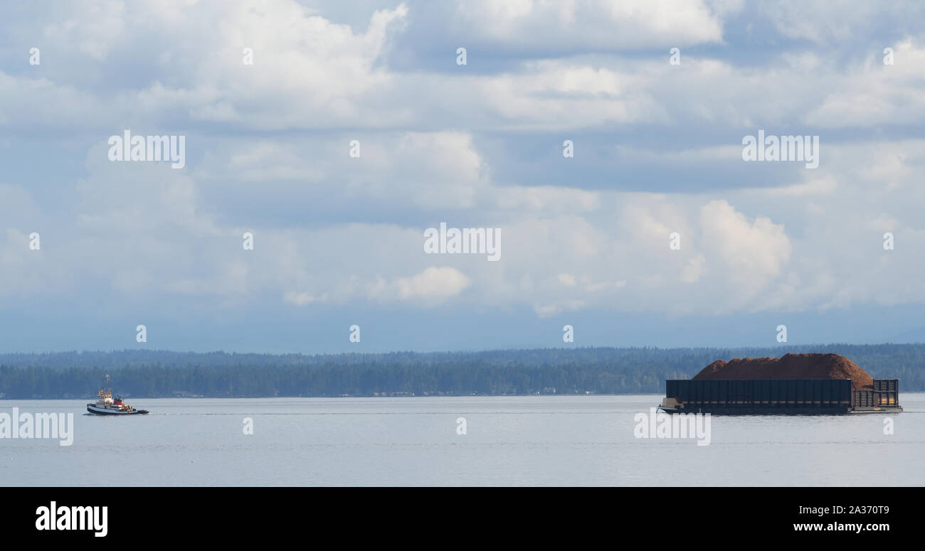 Una chiatta gigante riempita di trucioli di legno è trainata da un rimorchiatore tra Quadra Island e Vancouver Island. Isola Di Quadra. British Columbia, Canada. Foto Stock