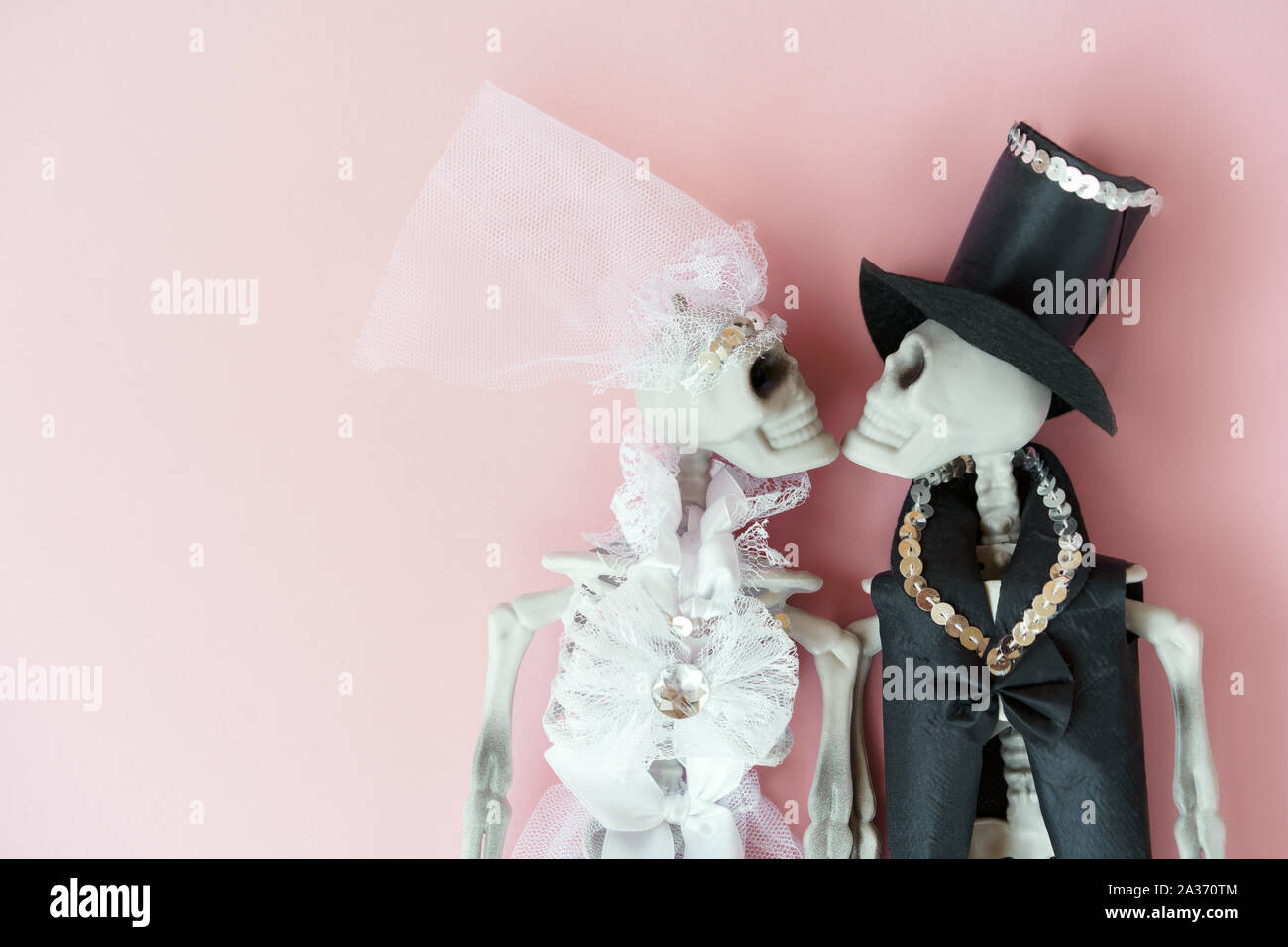 Gli scheletri in sposa sposo abito da sposa in rosa chiaro dello sfondo. Foto Stock