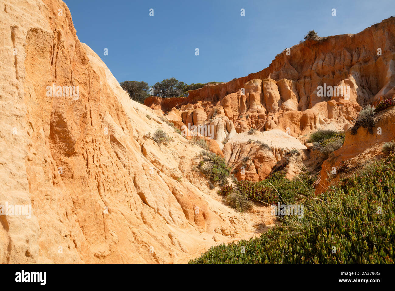 Costa rocciosa di arenaria presso la costa atlantica, Algarve Foto Stock