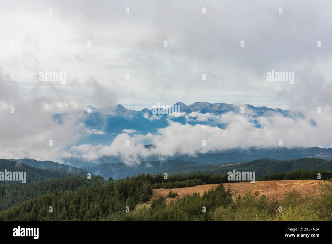 Nebbia fredda giornata autunnale dei monti Rodopi, Bulgaria. Mattina presto Foto Stock