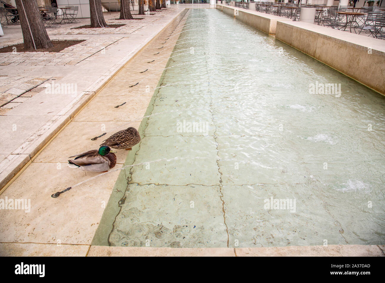 Getty Institute, California Foto Stock