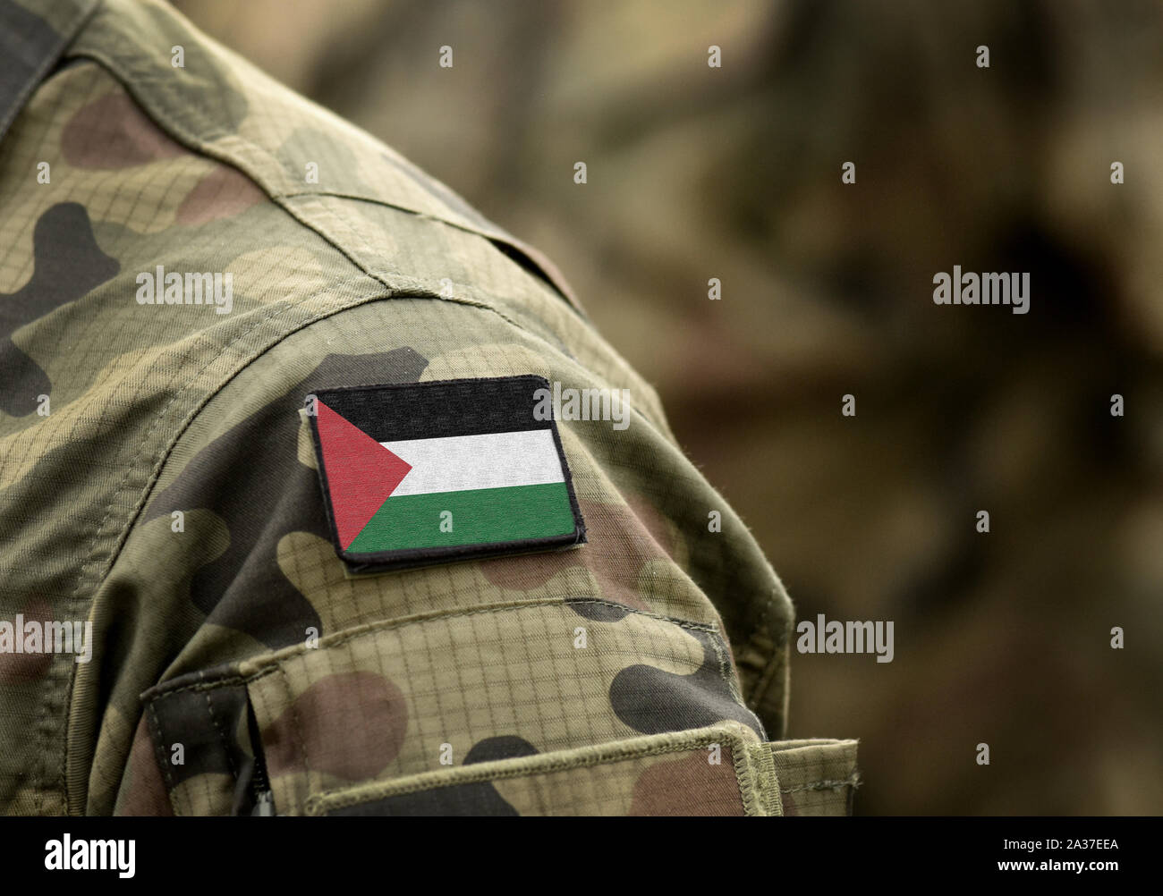 Bandiera della Palestina in uniforme militare (collage). Foto Stock