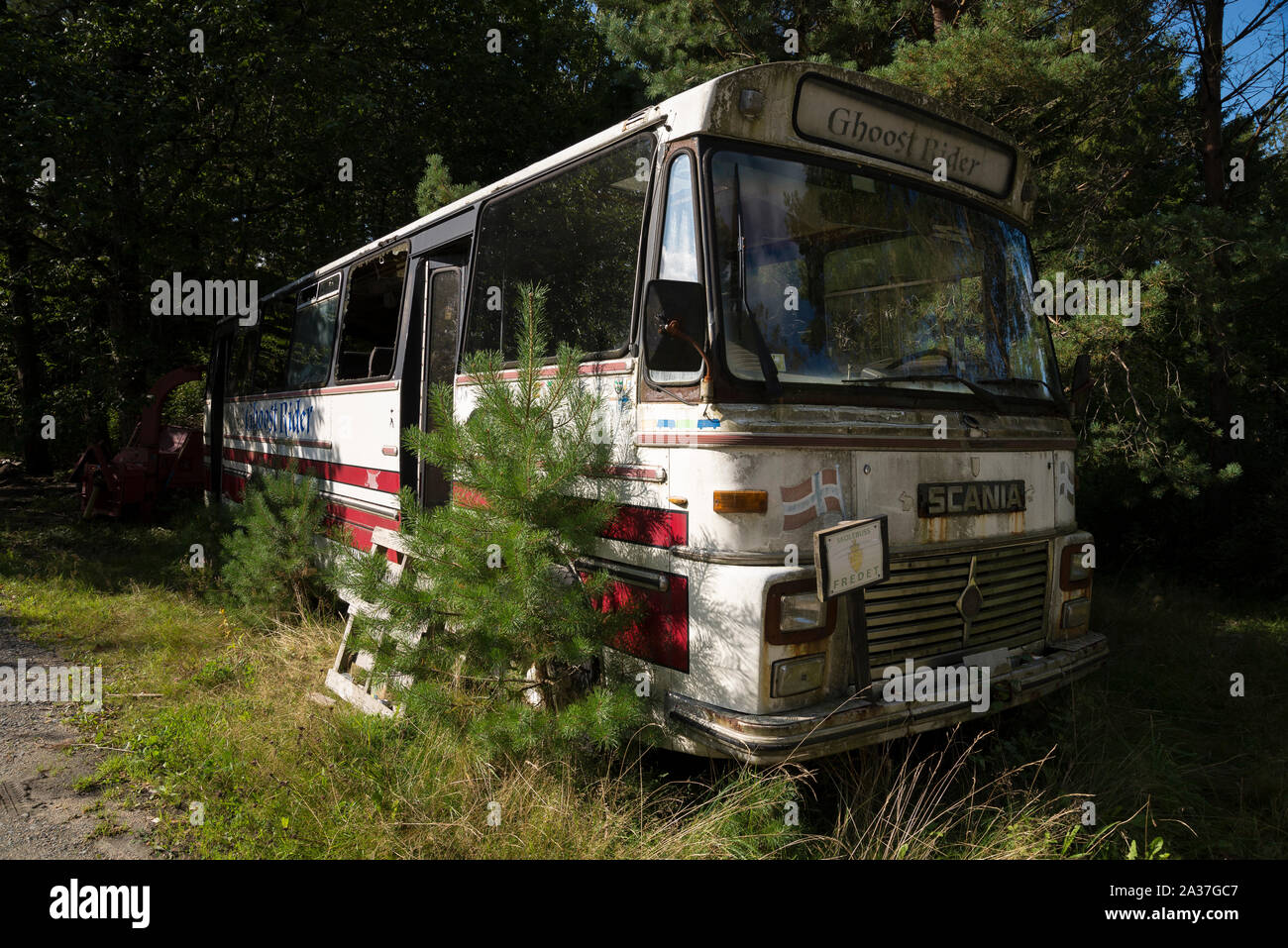 Il vecchio Bus, Norwegen, Europa Foto Stock