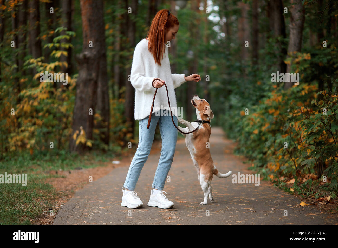 Attraente ragazza che gioca con il suo cane nel parco con il meraviglioso paesaggio. a piena lunghezza foto, lo stile di vita e del tempo libero Foto Stock