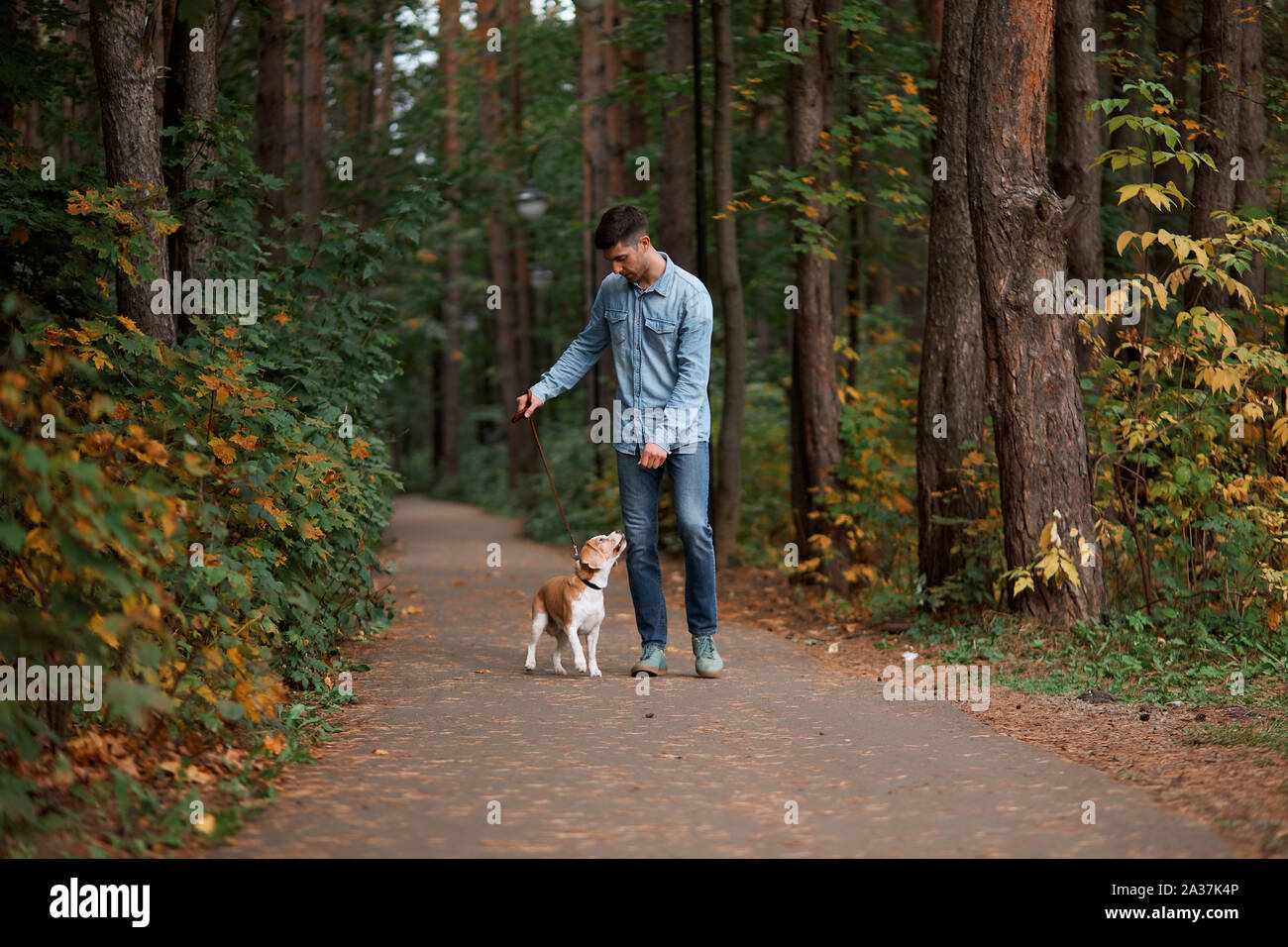 Bel ragazzo di trascorrere del tempo con il suo cane nel parco a piena lunghezza foto. meraviglioso panorama mozzafiato sullo sfondo della foto. passatempo, tempo libero Foto Stock