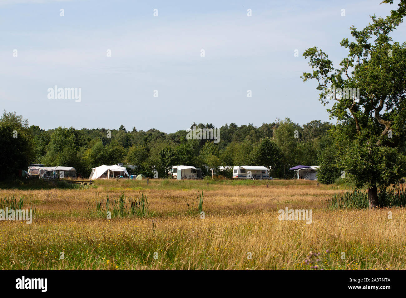 Tipico paesaggio con camp site della parte orientale della provincia olandese Overijssel Foto Stock