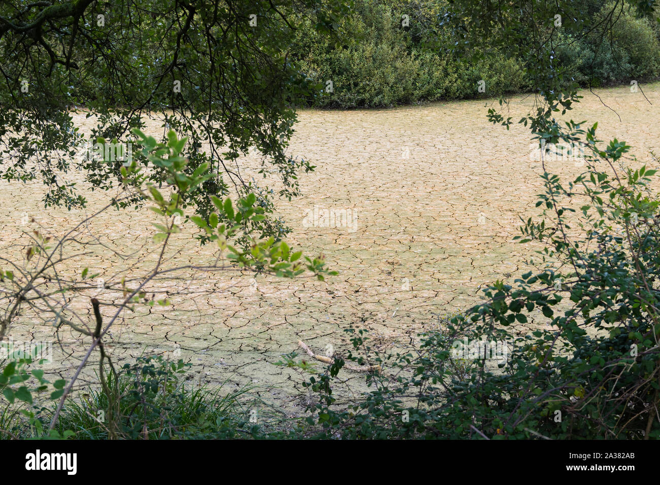 Asciutto letto del lago dopo l'acqua drenata via, lasciando asciutto terreno incrinato reminiscenza di una siccità.. Foto Stock