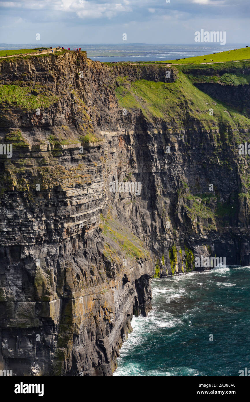 Le Scogliere di Moher, County Clare, Repubblica di Irlanda. Essi raggiungono la loro massima altezza di 214m (702ft) qui, appena a nord di O'Brien's Tower. Foto Stock