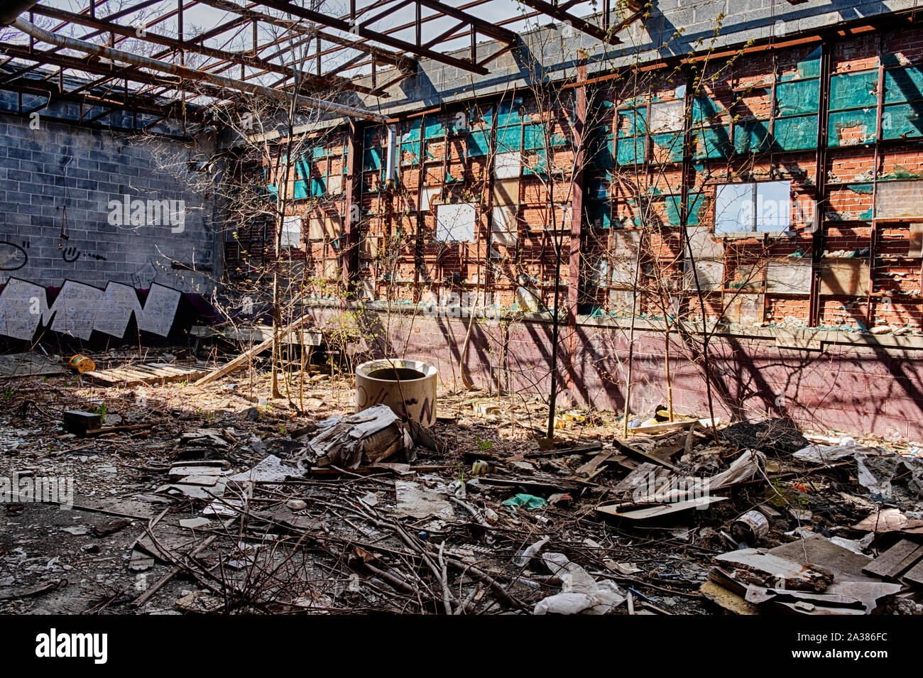 DETROIT, Michigan - Aprile 27, 2019: gli alberi crescono in una parte di un abbandono di fabbrica di Detroit dove il tetto è caduto in. Foto Stock