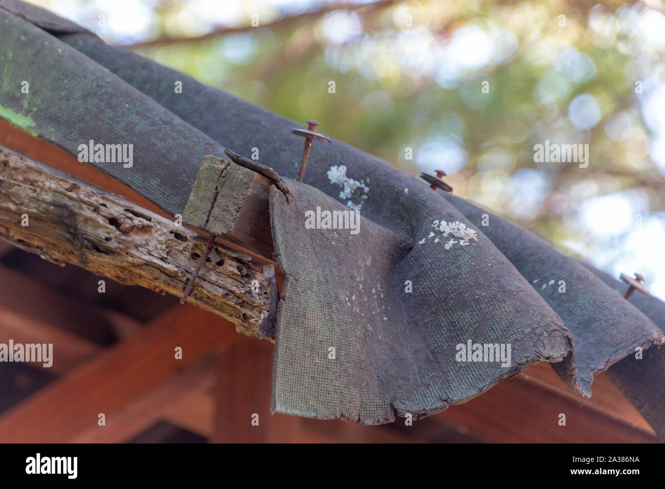 Una vista ravvicinata del danneggiamento di una copertura del tetto di un rifugio esterno Foto Stock