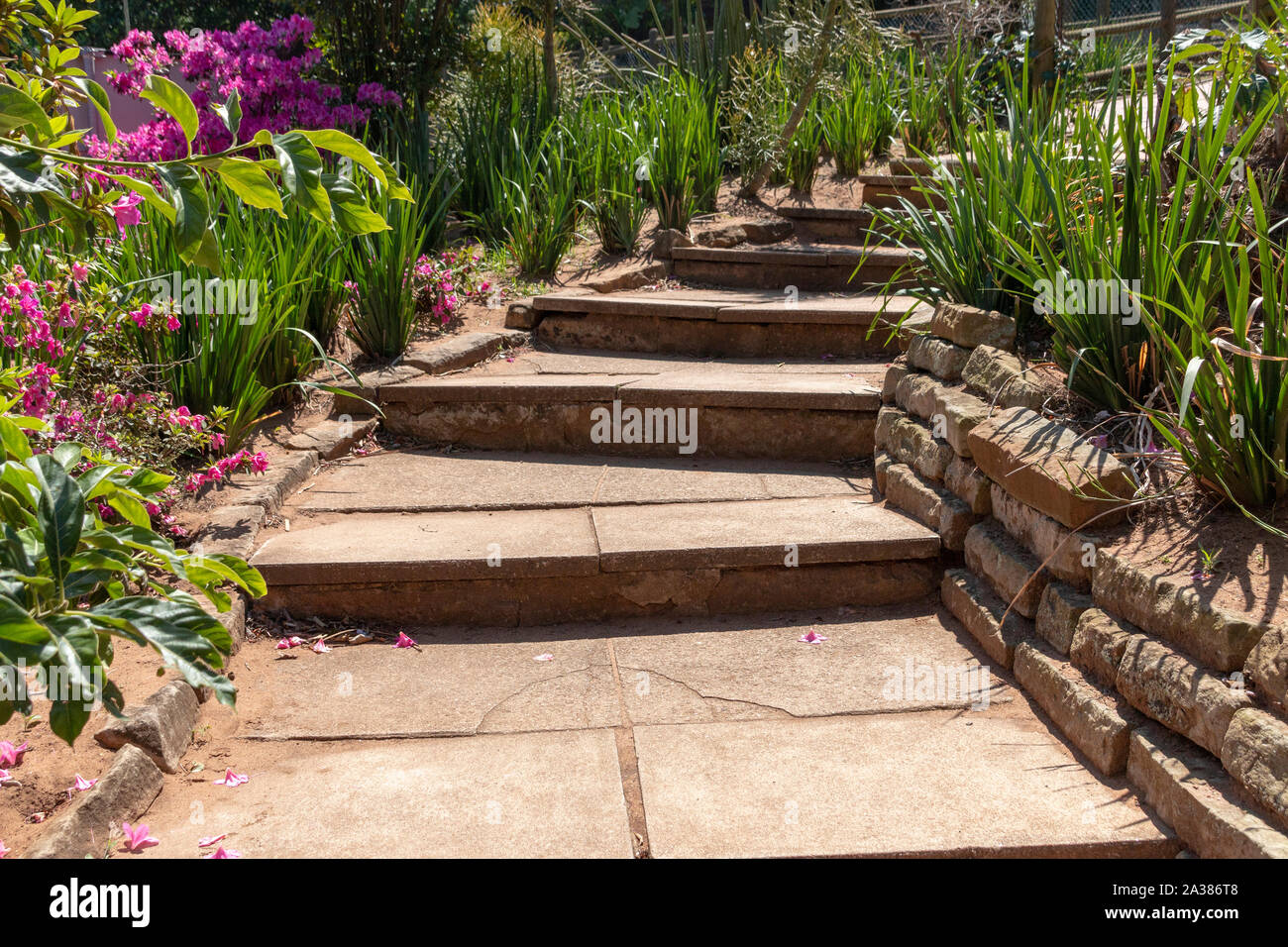 Una vista ravvicinata del calcestruzzo scale che portano fino a un altro livello in un giardino aperto Foto Stock