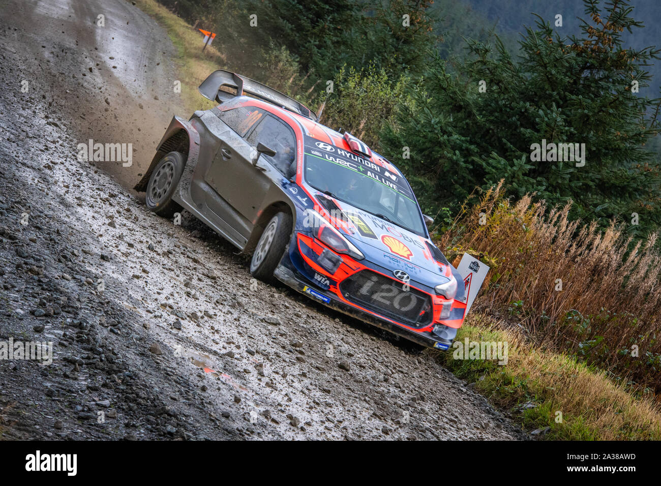 Andreas Mikkelsen (Norvegia) guidando attraverso il Myherin tappa del Rally del Galles GB 2019 in Hyundai i20 WRC World Rally Car Foto Stock