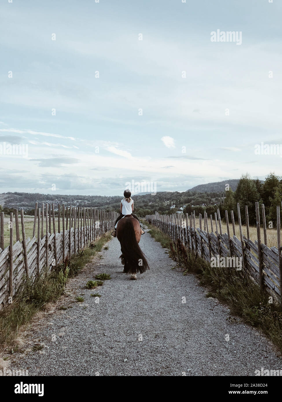 Vista posteriore di una ragazza in sella ad un cavallo, Norvegia Foto Stock