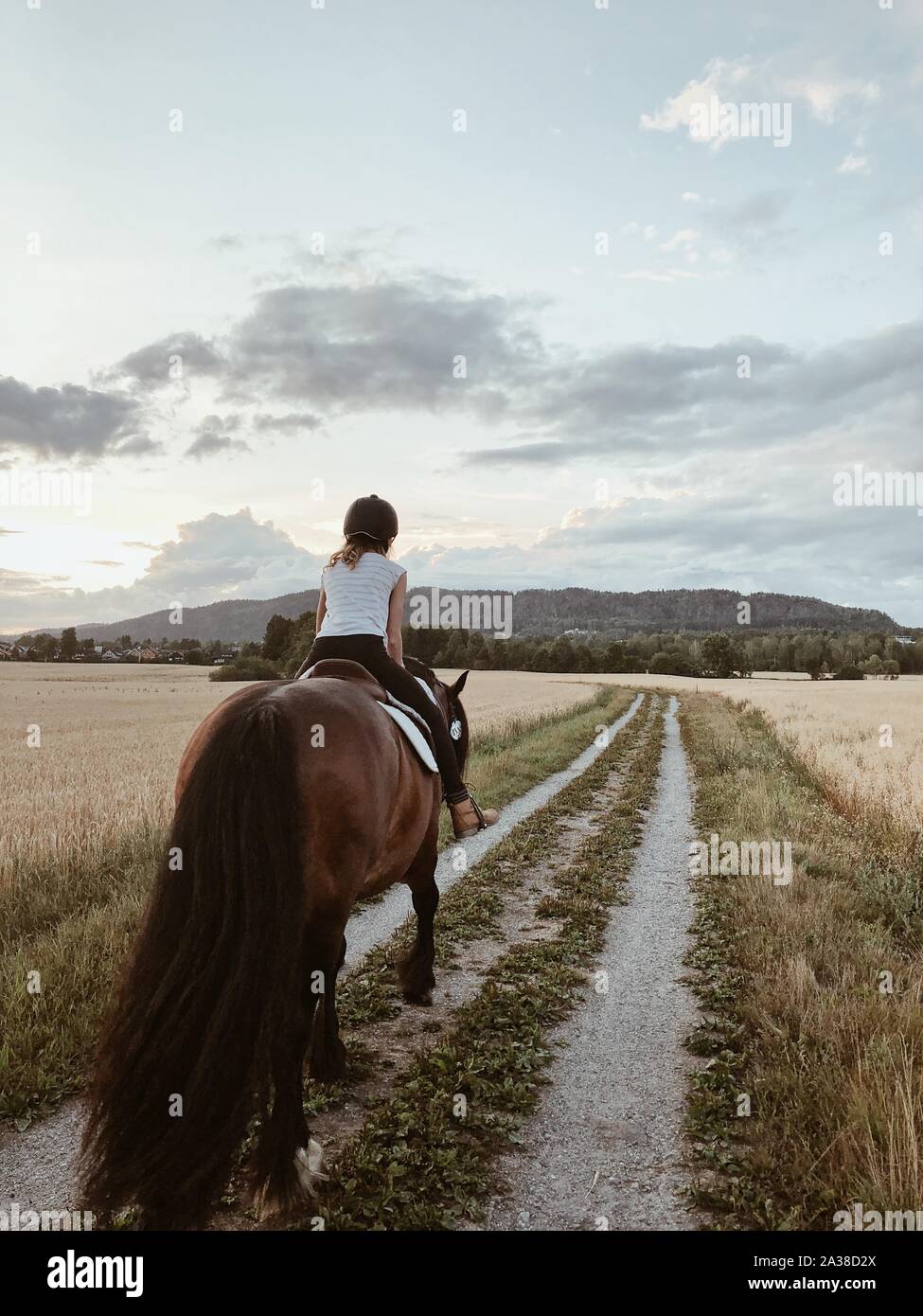 Vista posteriore di una ragazza in sella ad un cavallo, Norvegia Foto Stock