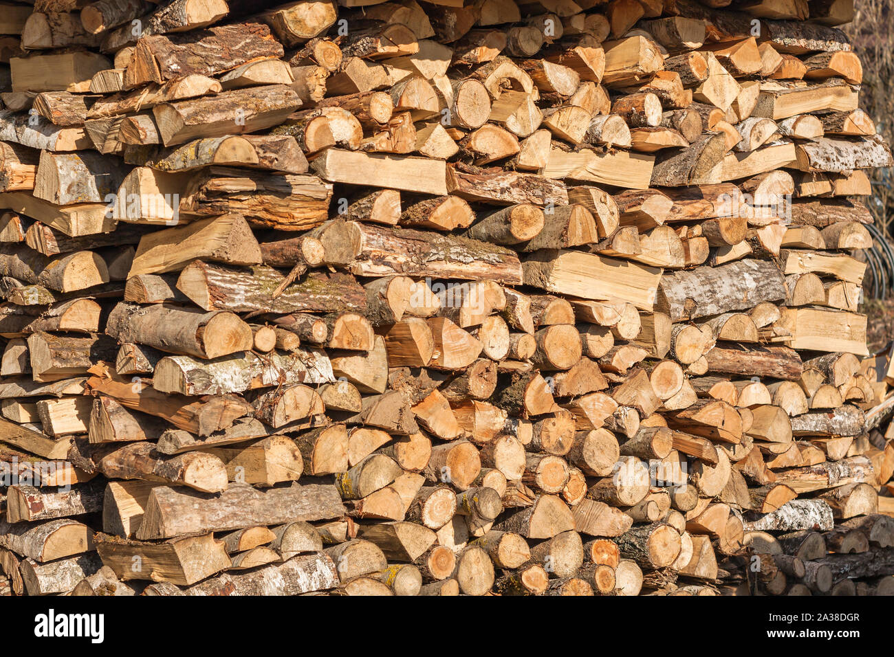 Enorme riserva di legna da ardere di razze di latifoglie Foto Stock