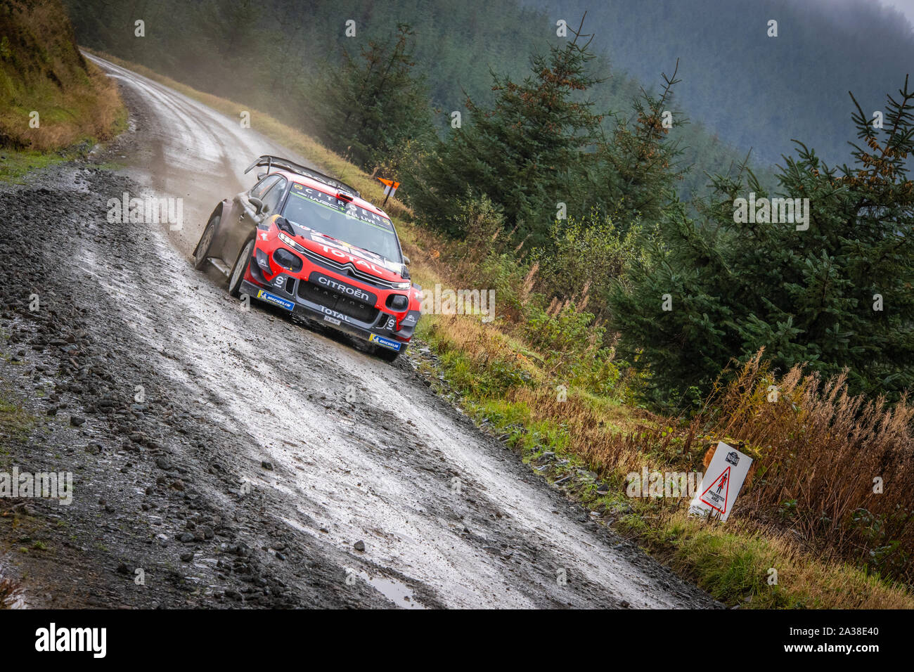 Esapekka Lappi (Finlandia) di guida attraverso la Myherin tappa del Rally del Galles GB 2019 in Citroen C3 WRC World Rally Car Foto Stock