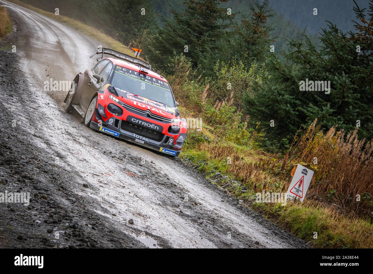 Esapekka Lappi (Finlandia) di guida attraverso la Myherin tappa del Rally del Galles GB 2019 in Citroen C3 WRC World Rally Car Foto Stock