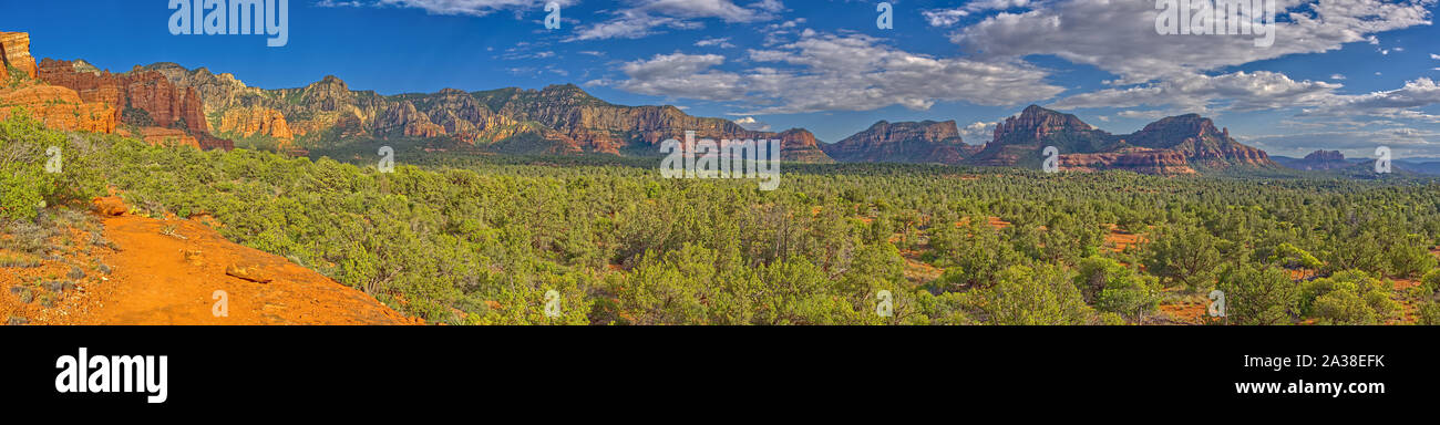 Munds Mountain Wilderness, Coconino National Forest, Arizona, Stati Uniti Foto Stock