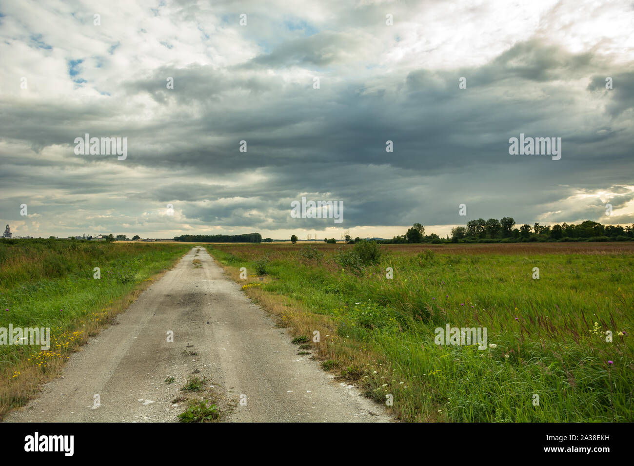 Una strada di ghiaia attraverso un prato verde e un cielo nuvoloso Gotowka, Polonia Foto Stock