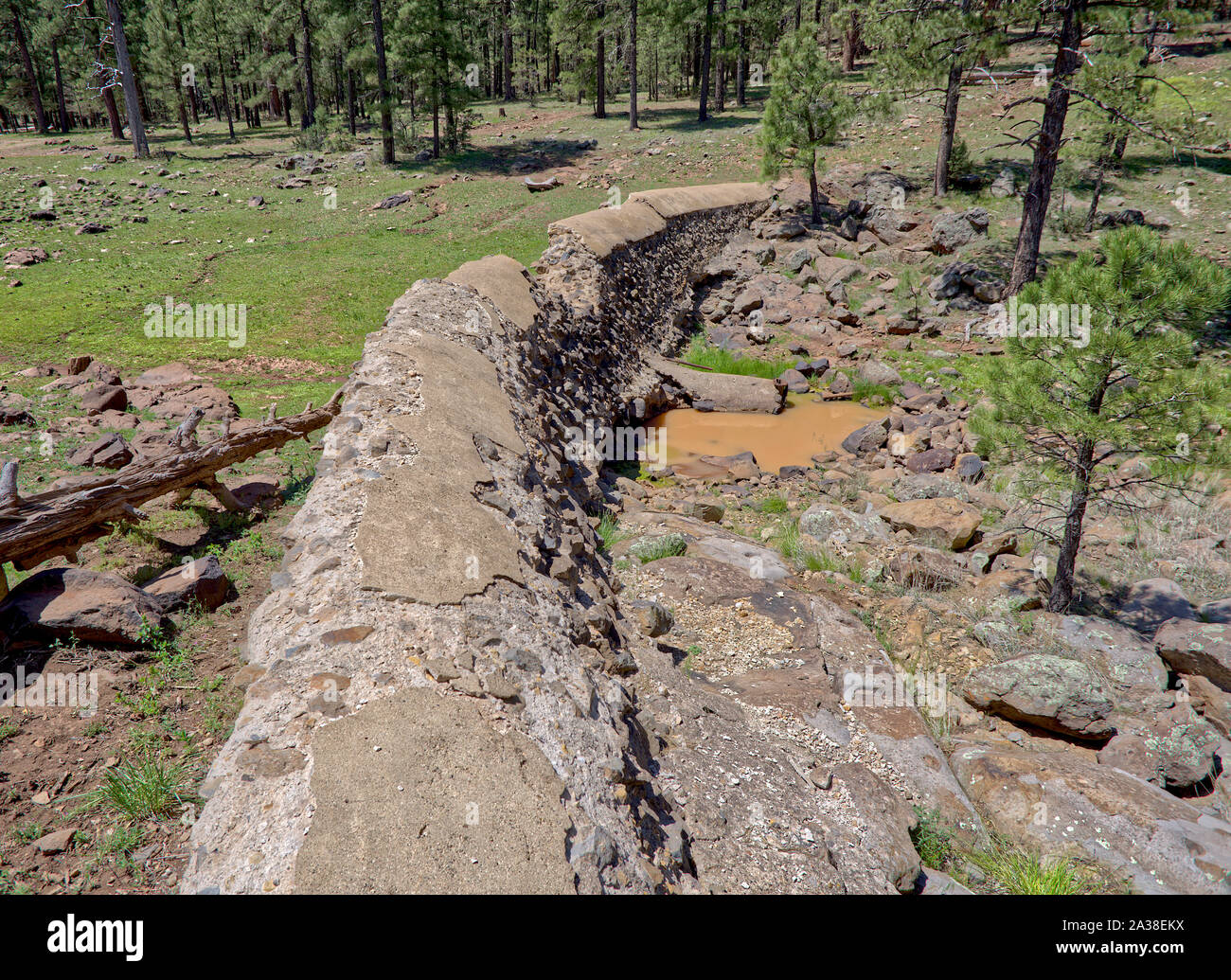 Rovine di decadimento di Foxboro Diga lago vicino Munds Park, Arizona, Stati Uniti Foto Stock