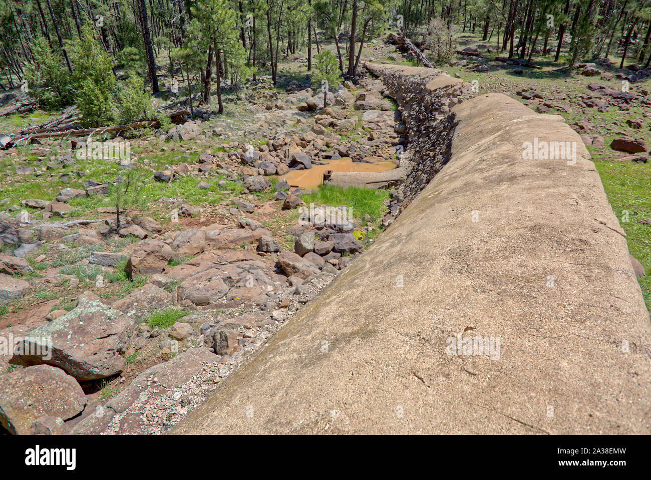 Rovine di decadimento di Foxboro Diga lago vicino Munds Park, Arizona, Stati Uniti Foto Stock
