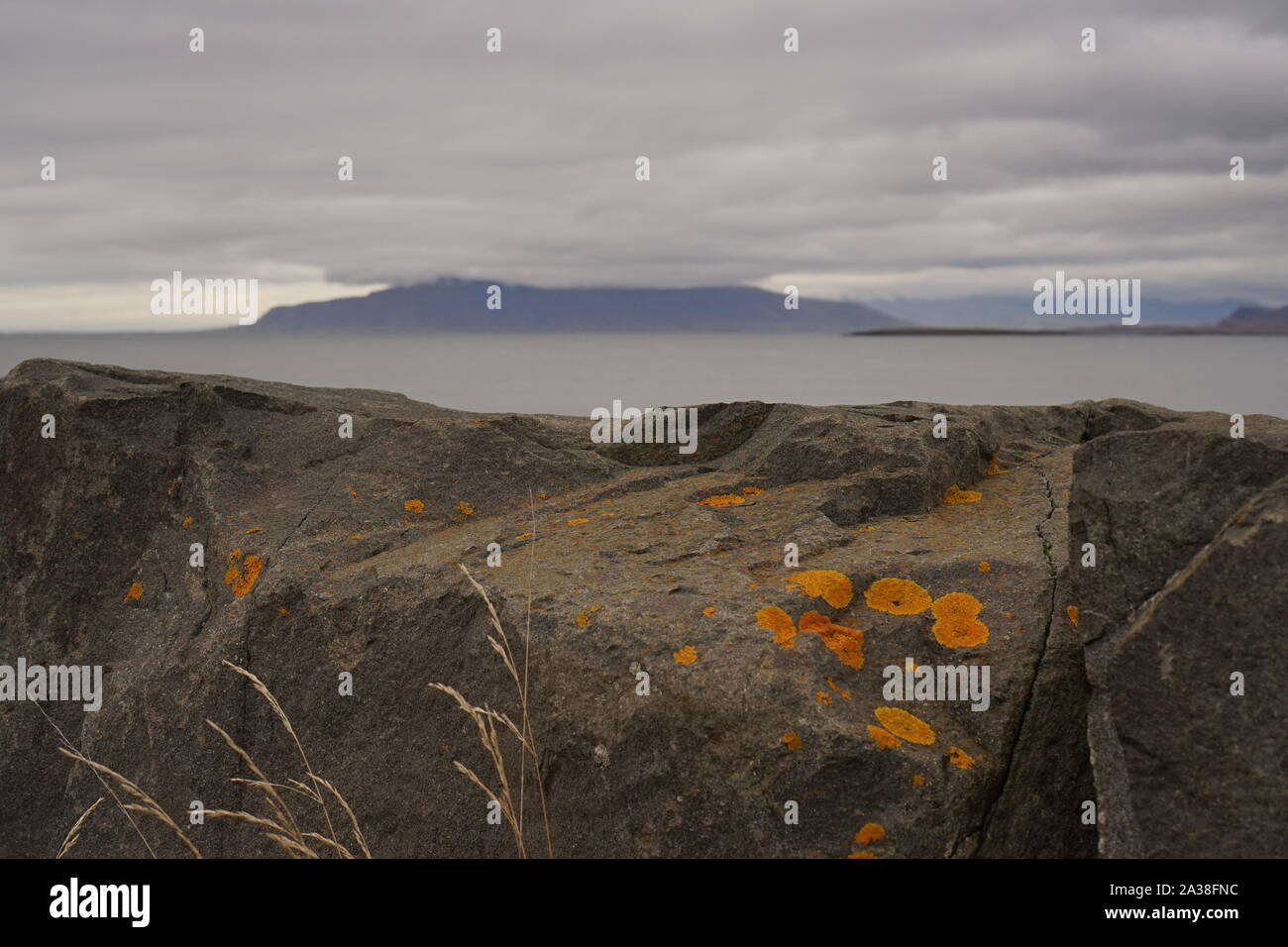 Lichene giallo su rocce grigie con mare, montagna e basso appeso in cloud la distanza Foto Stock