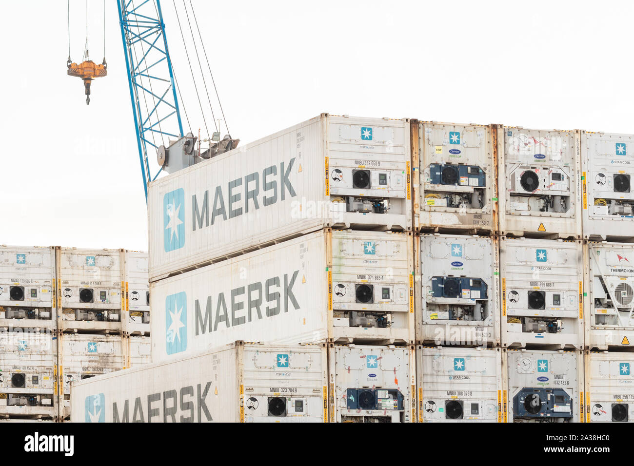 Maersk refrigerato contenitori di spedizione Foto Stock