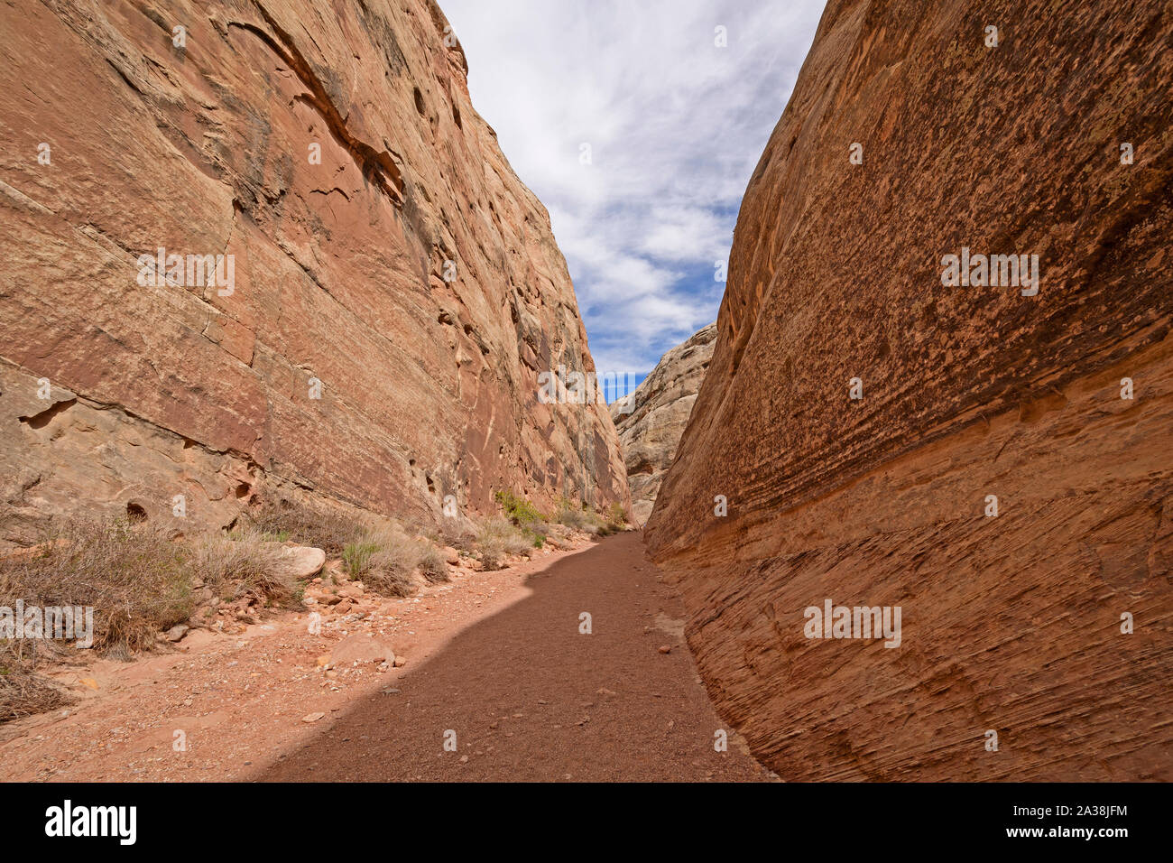 Ombra e luce in uno stretto canyon del deserto in Capitol Gorge nel Capitol Reef National Park nello Utah Foto Stock