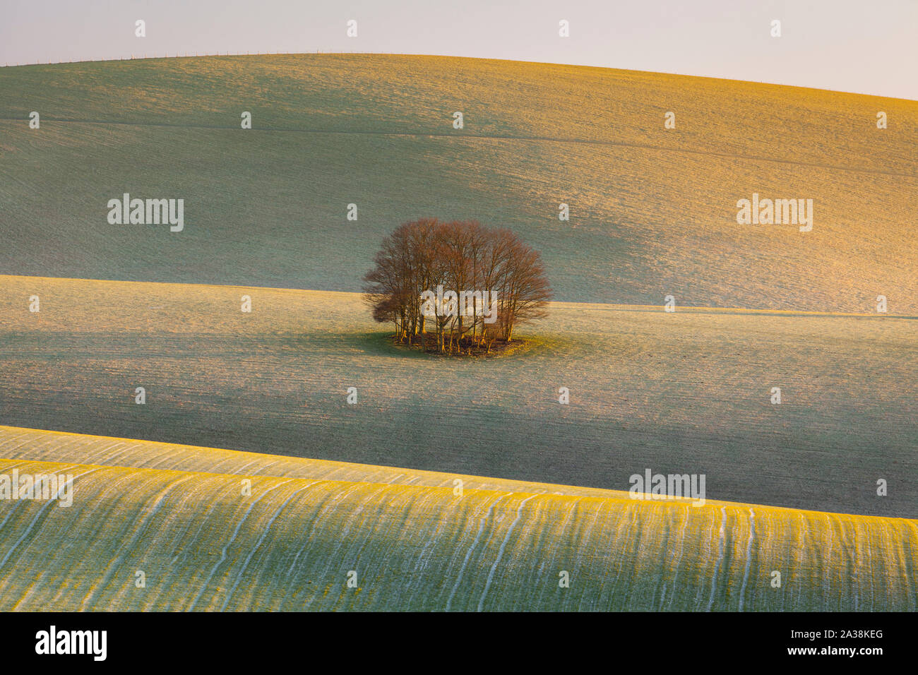 Le ondulate colline del South Downs National Park. East Sussex, Inghilterra Foto Stock