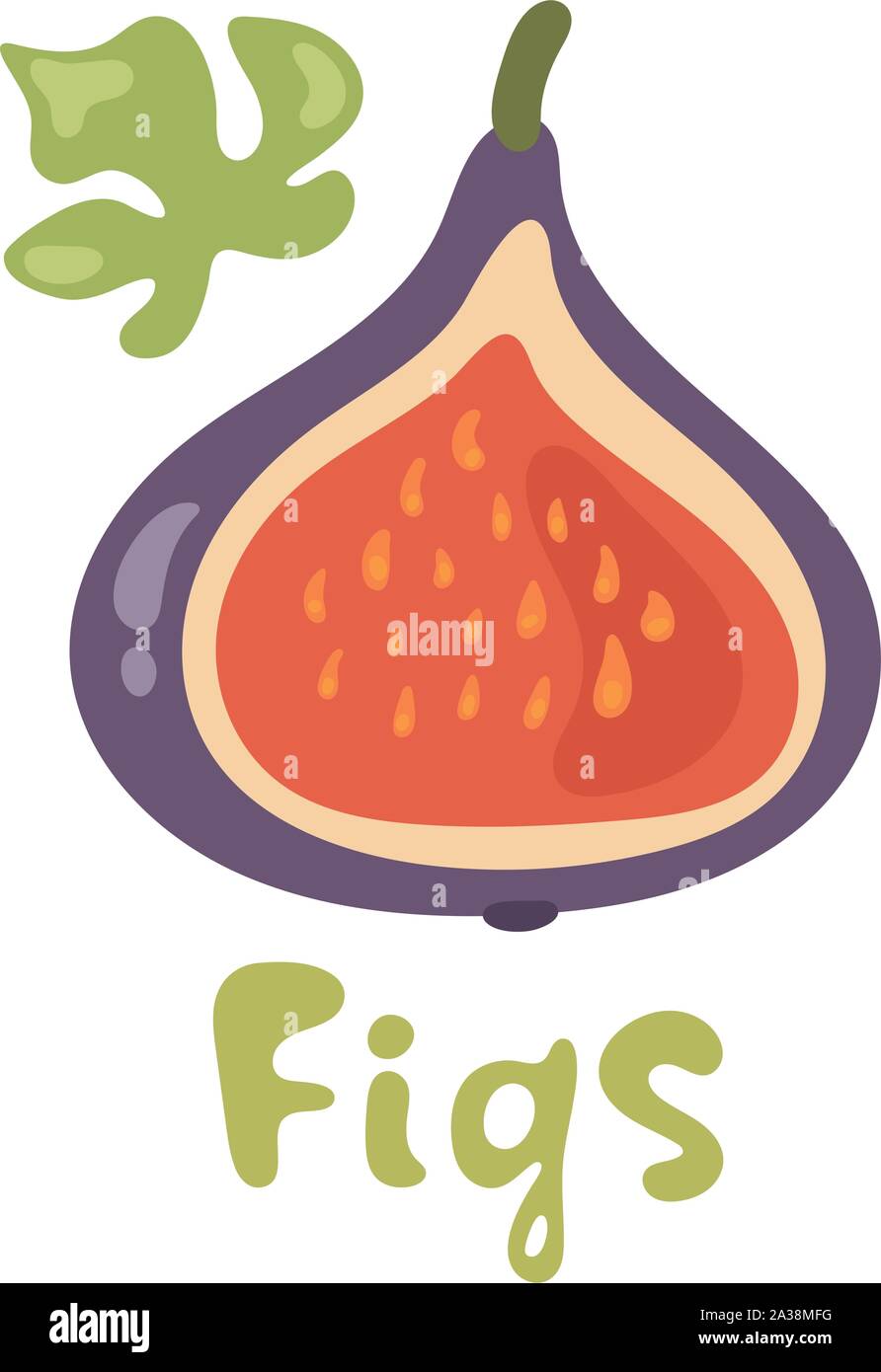 Estate frutti tropicali per uno stile di vita sano. Fig, viola la metà della frutta. Illustrazione Vettoriale cartoon icona piatto isolato su bianco Illustrazione Vettoriale