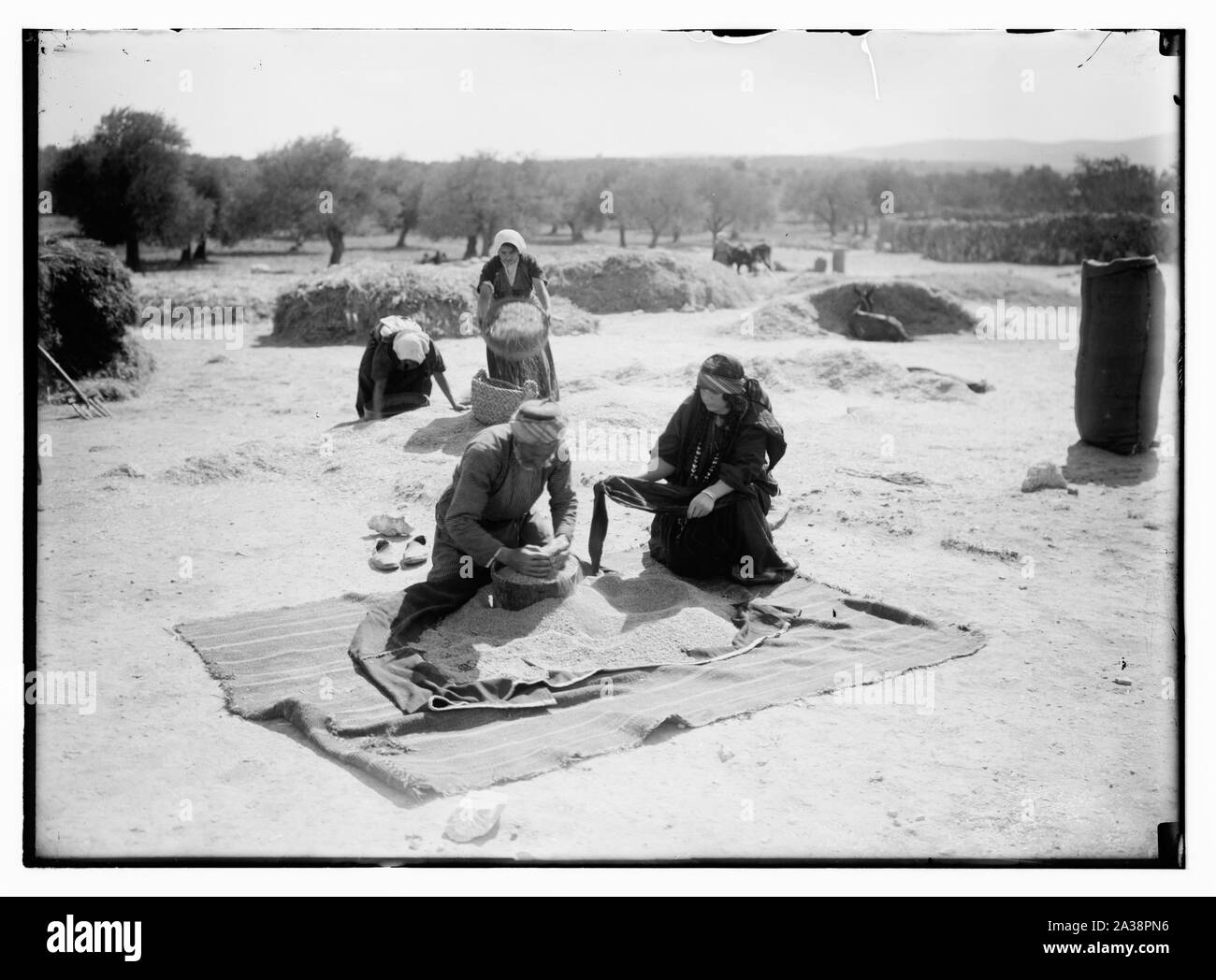 Ruth serie, Rut la Moabita Foto Stock