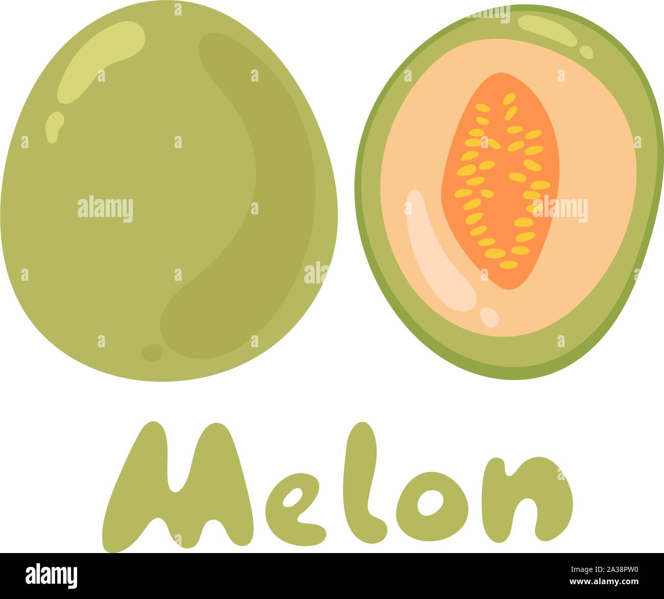 Il melone Cantalupo, frutta illustrazione vettoriale. Cartoon icona piatto isolato su bianco con testo Illustrazione Vettoriale