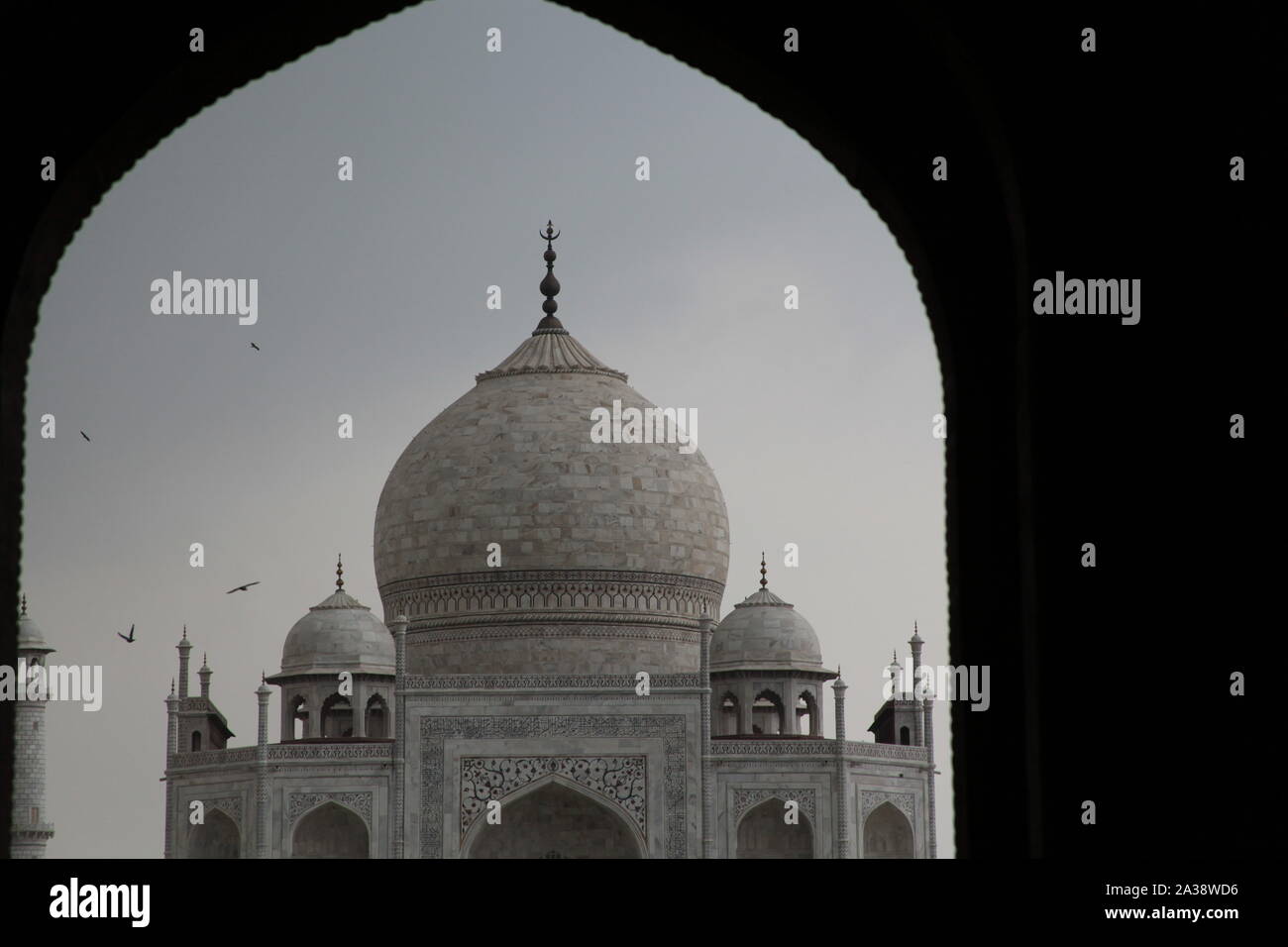 TAJ MAHAL, India, Asia Foto Stock
