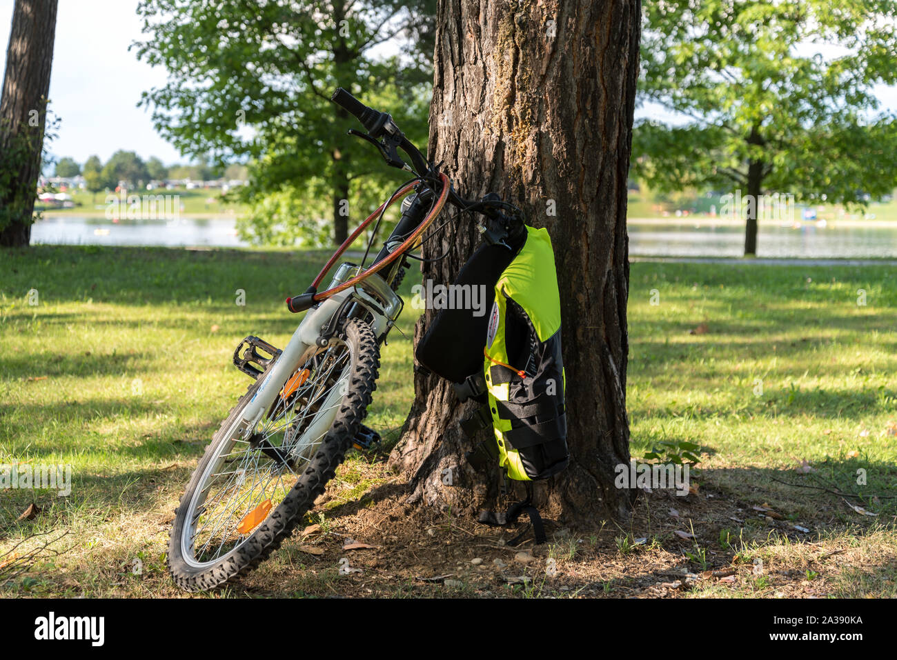 Biciclette, alberi e giubbotti di salvataggio per salvare vite umane Foto Stock